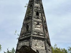 -上海佘山国家森林公园天马山园