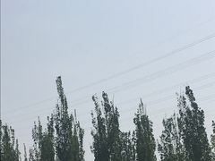 -永定河休闲森林公园