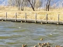 -野鸭湖国家湿地公园