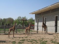 -石家庄市动物园