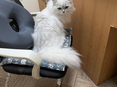 -联合动物医院(光谷诊疗中心)