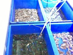 -李氏圣鲸大型自助餐