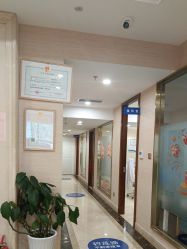 -碧莲盛·不剃发植发