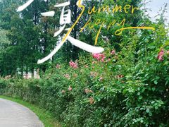 -前小桔亲子创意农场·草莓采摘·露营烧烤