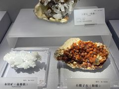 -湖南省地质博物馆