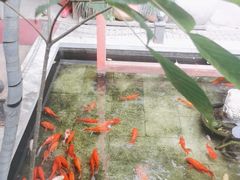 -野蔓果·山野菜(西湖景区·龙井茶田店)