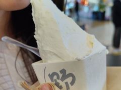 -野人先生Gelato(上海长宁龙之梦店)