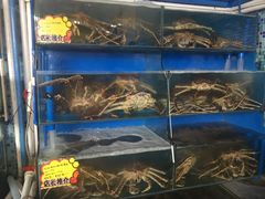 -蚝专家(北滘店)