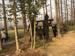 -上海长兴岛郊野公园