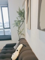 -小梨·OndaPro·专业脱毛连锁机构