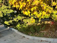 -国家植物园南园