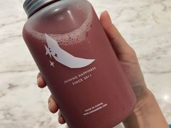-野萃山·潮汕厚果汁(十亩地店)
