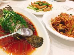 1元海鲜清蒸海石斑-金翠皇宫粤菜·点心·海鲜(科技园店)