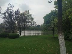 -艾溪湖湿地公园