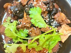 -兴隆槟榔园休闲农庄