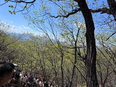 -吉林市朱雀山国家森林公园
