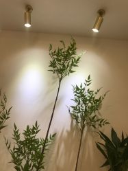 -FUMEIHUI·科技美肤·美体SPA