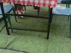 -范家大院(华为店)