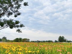 -汉长安城未央宫国家考古遗址公园