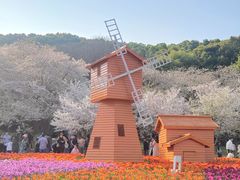 -苏州上方山国家森林公园