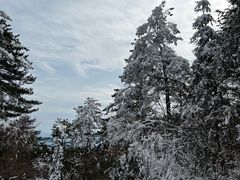 -溪口商量岗景区