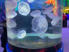 -横店影视城梦幻谷园区