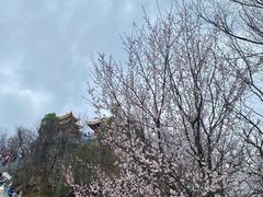 -终南山南五台景区