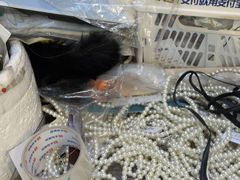 -暮晚尘香汉服旗袍