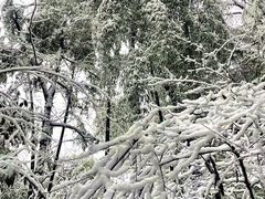 -西湖风景区十里琅珰-五云山