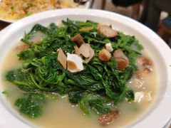 -香港深井掂檔烧鹅茶餐厅(海韵城店)