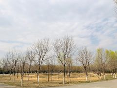 -东郊湿地公园