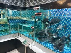 -农汤老店(顺联公园里店)