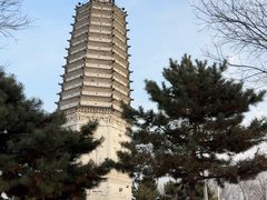 -舍利塔滩地公园-无垢净光舍利塔