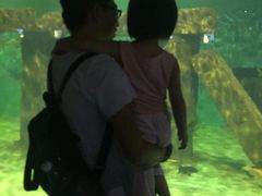-重庆欢乐海底世界