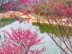 -世间香境·七溪地