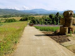 -黄色小屋