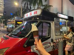 -富豪雪糕车流动点(尖沙咀店)