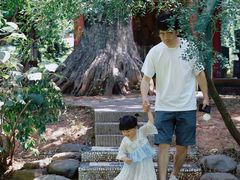 -华雅花园大酒店