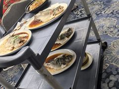 -古南都·老广东酒楼(龙江店)