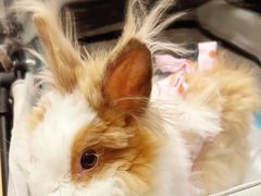 -美迦爱-牙专科·兔科·骨科诊疗中心(北苑店)