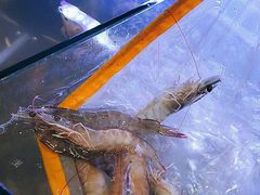 -罗二娘·鲜切牛自助火锅(罗湖东门步行街店)