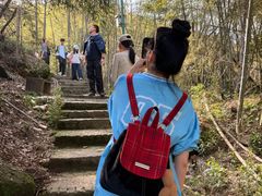 -长沙黑麋峰国家森林公园