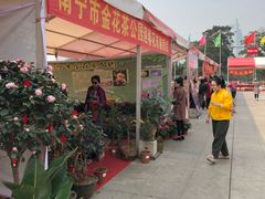 -南宁国际会展中心(会展东博文化旅游区)