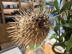 -天正河鲀·河豚亭(大连店)