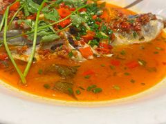 -坛宗剁椒鱼头(河西王府井店)