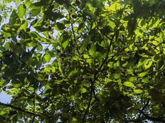 -天津盘山风景名胜区