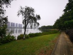 -飞来湖湿地公园