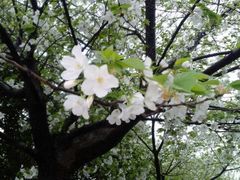 -四川大学(望江校区)