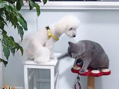 -Doors独立剧情密室(东门分店)