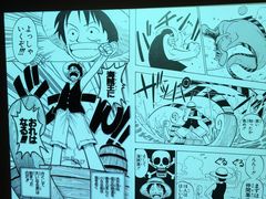 -东京塔海贼王主题公园